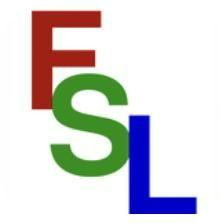 fsl logo